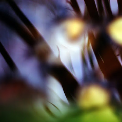 Abstract Photography,  abstract backgrounds, abstract art