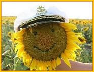 PREMIO GIRASOL SONRIENTE