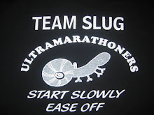 Team Slug