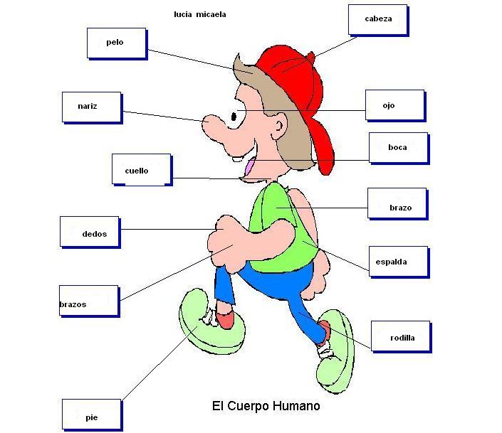 [ElCuerpoHumano-+lucia+y+micaela.JPG]