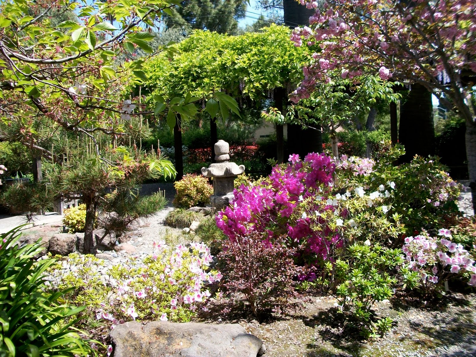 Niles Home, Sweet Home! Niles Local Keepers of the Past