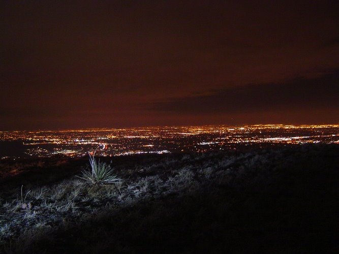 Thursday Night Rides