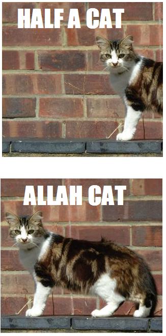 [ALLAH.jpg]