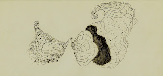 Weird Shells