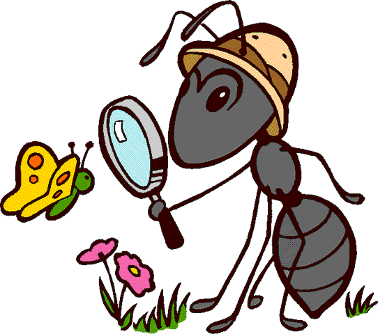http://1.bp.blogspot.com/_jOIeOLK5oVA/TMGhpgY3ZkI/AAAAAAAAAGU/v4M5JXxbpXs/s1600/ant.gif
