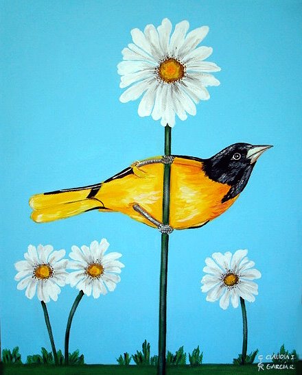 Baltimore Oriole with daisies