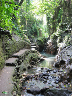 Path in the Monkey Forest