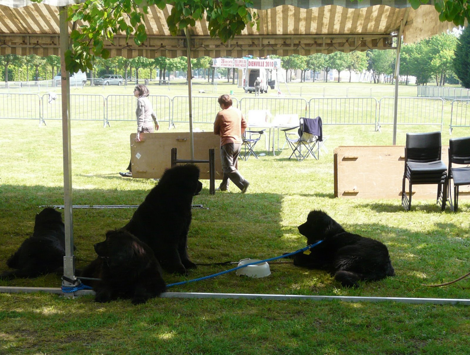 site rencontre aube