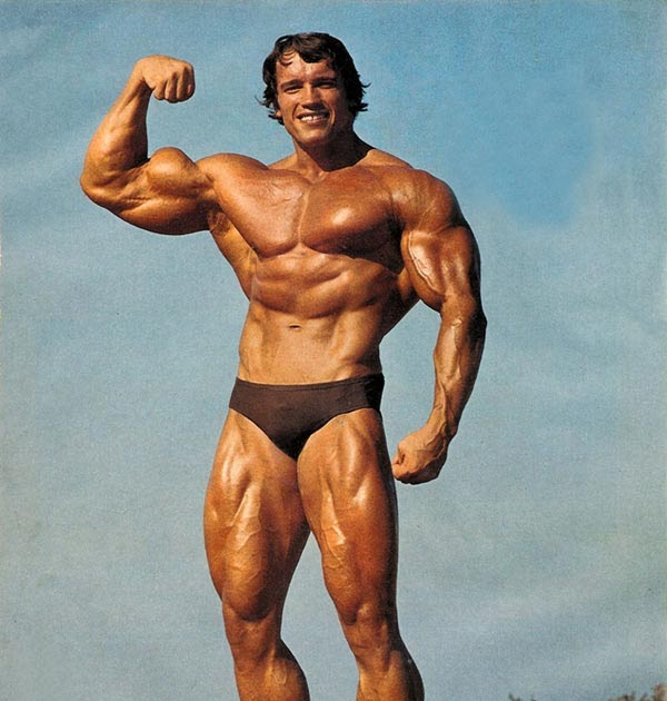 Скачать книгу шварценеггера Скачать книгу шварценеггера