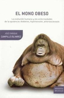 [el+mono+obeso.jpg]