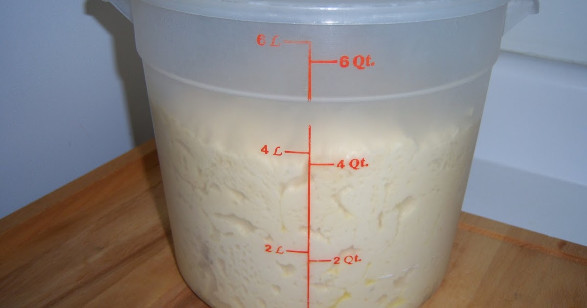 Life, In A Nutshell Potato Refrigerator Dough