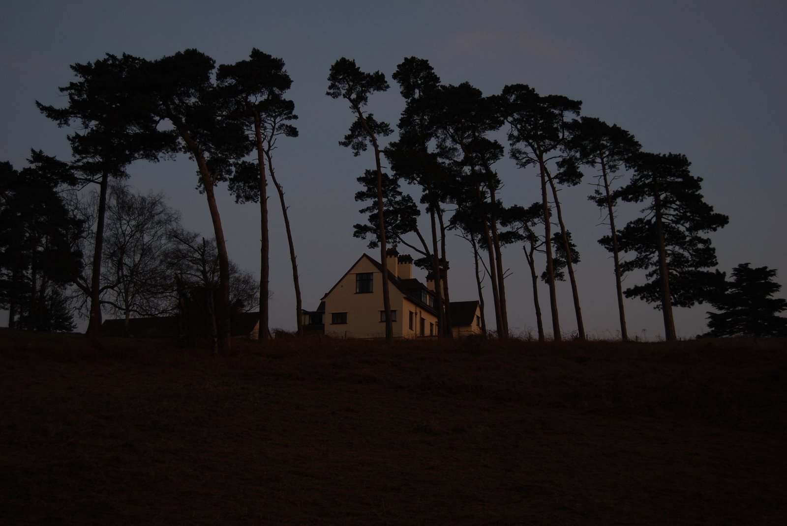 [DSC_0126.JPG]