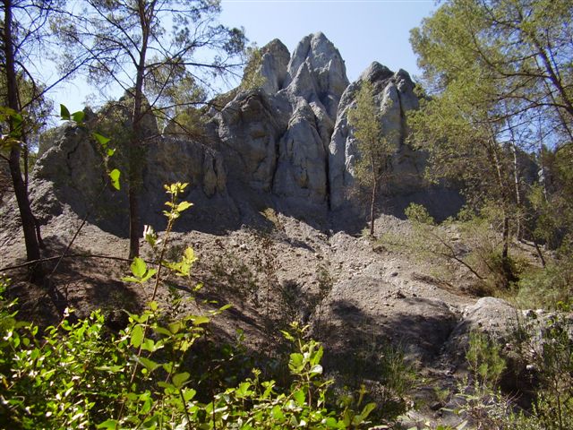 [PC010569.JPG]
