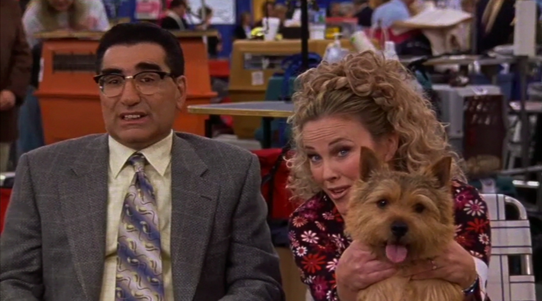 best in show bfa best in show bfa