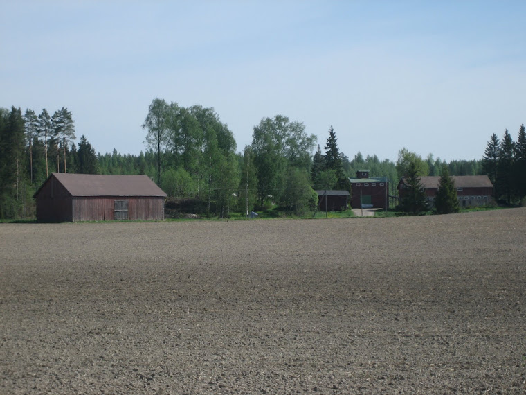 Peltokuvaa Kanteleelta