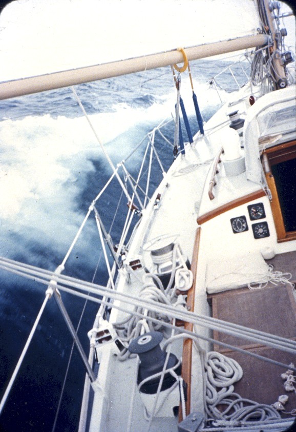 [carina+reaching.jpg]