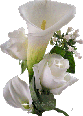 [Flor.gif]