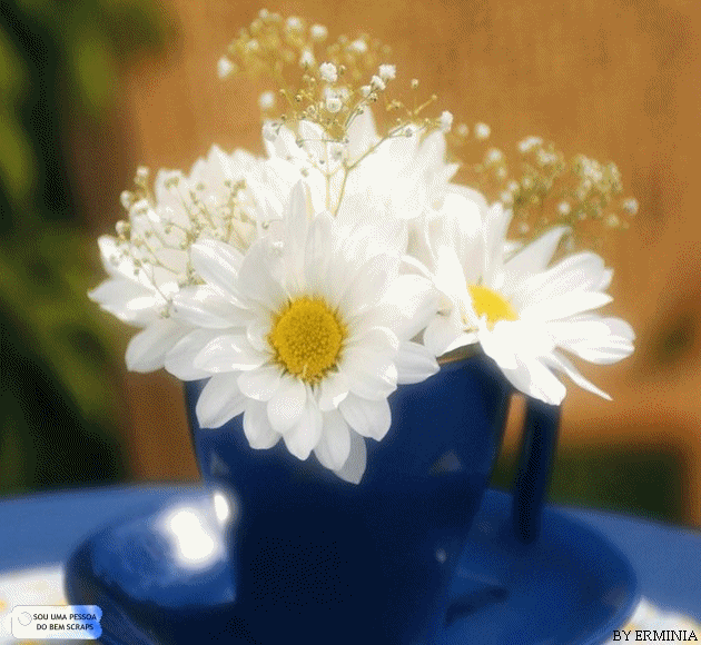 [4c.gif]
