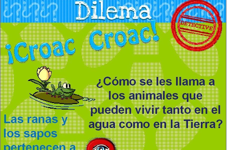 reto de hoy ¡Croac Croac!