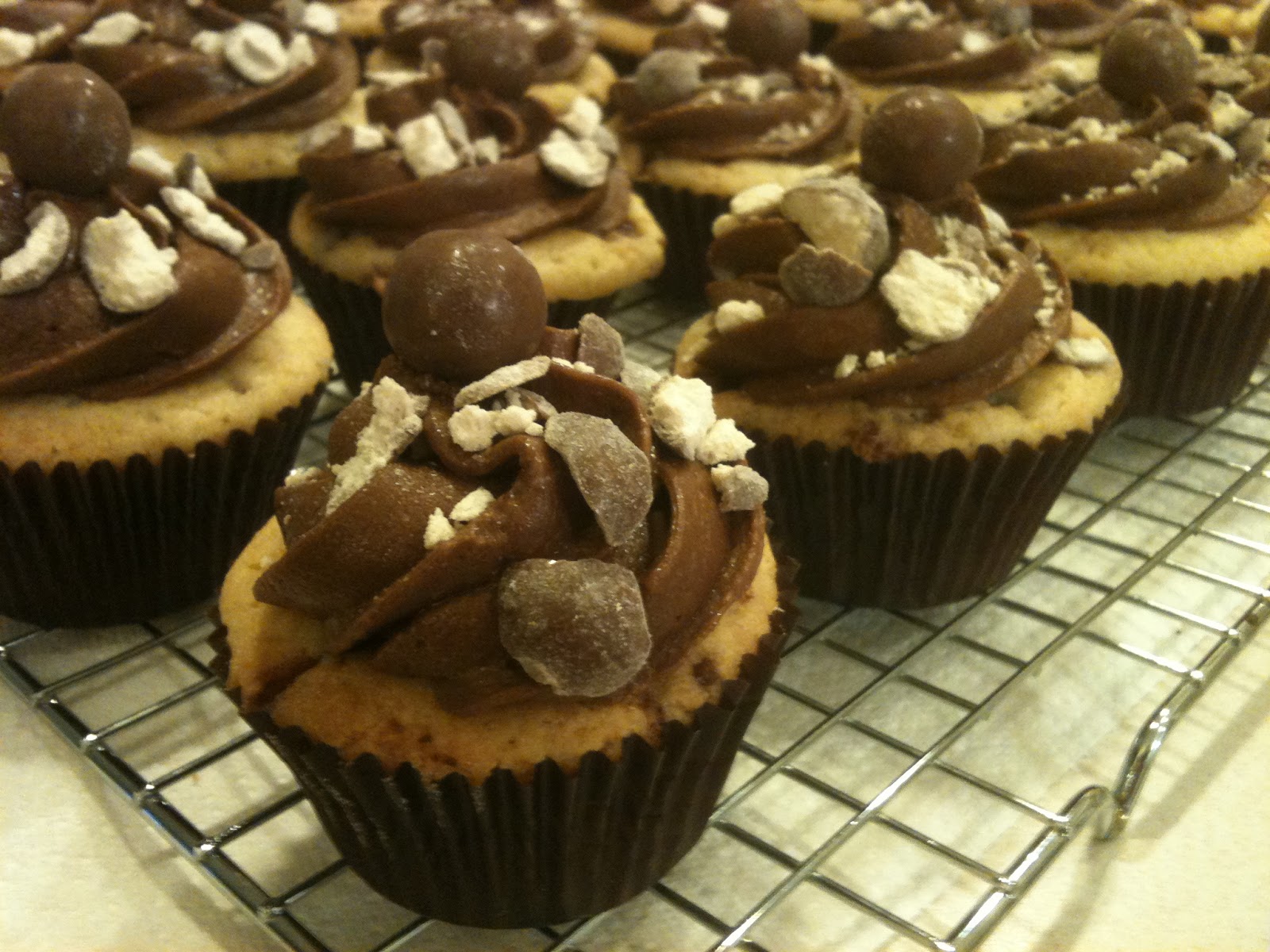 Frosted! Malted Milk Cupcakes with Chocolate Fudge Frosting