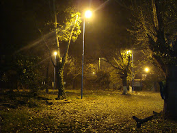 Campito Iluminado