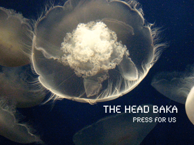 The Head Baka