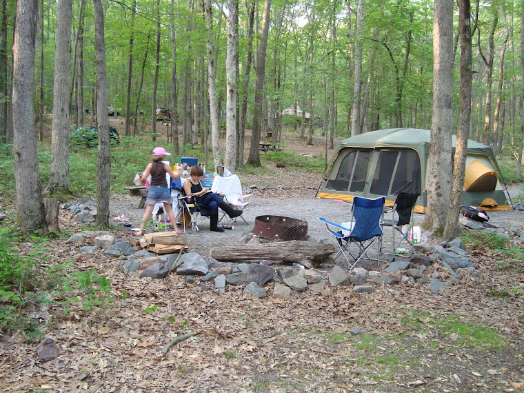 Pa Park Reviews Pennsylvania Grand Canyon