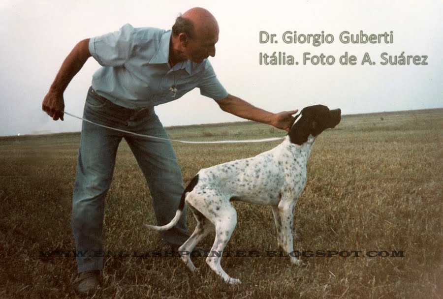 DR ;  GIORGIO  GUBERTI - RAVENA  ITALIA