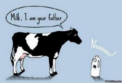 [Milks_Father+hahastop.jpg]