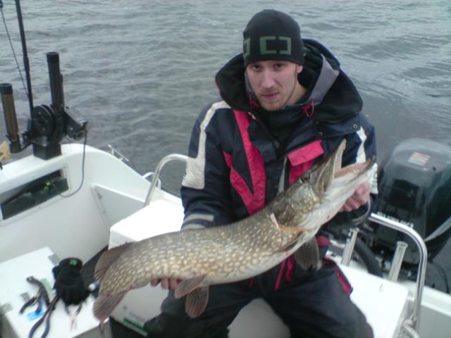 [image-upload-160-786590.jpg]