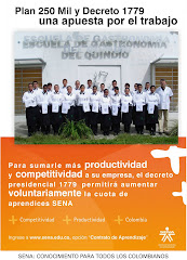 PLAN 250 MIL QUINDIO