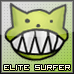 Elite Surfer