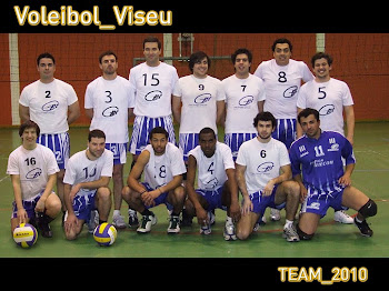 team 2010