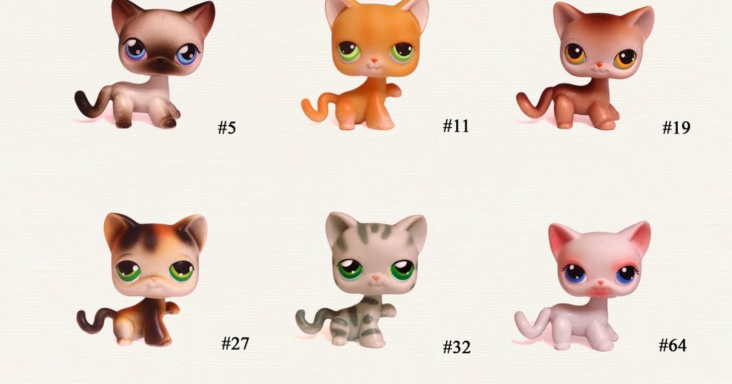 littlest pet shop shorthair cat numbers