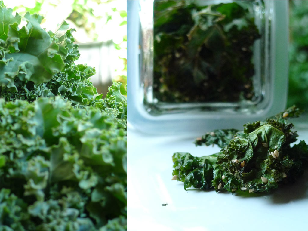 Honey & Dijon CHIPS DE KALE KALE CRISPS