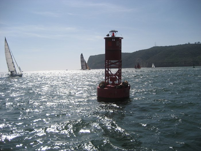 [IMG_2571.jpg]