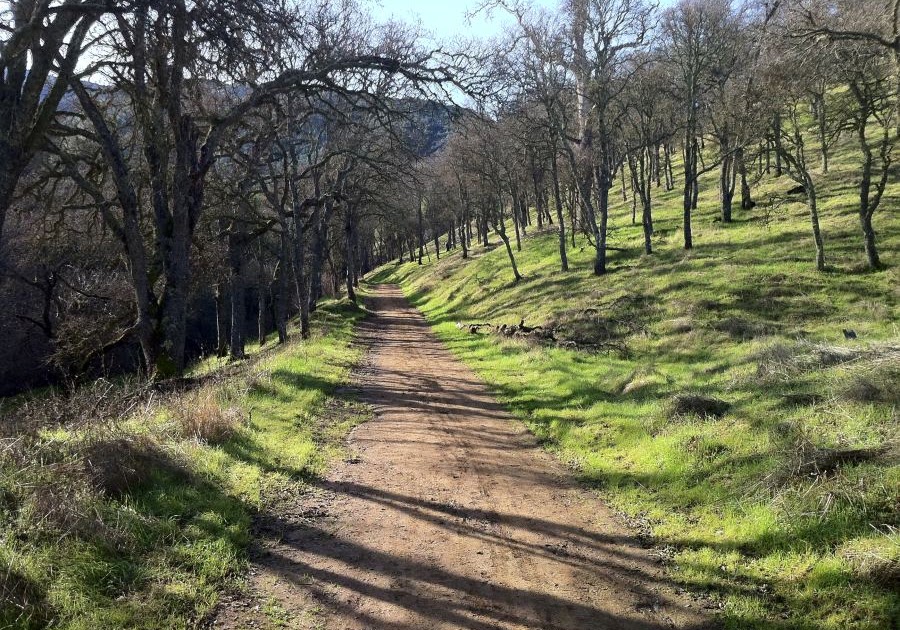 Embrace the Outdoors Mt. Diablo Hike Falls Trail