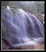 http://1.bp.blogspot.com/_jaXCf51tzrQ/RvulMSDOINI/AAAAAAAAAfI/scYOKbbdCy0/s200/ton%2Bnga%2Bchang.gif