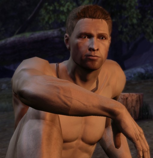 11 fan images of Dragon Age Origins I'd suggest David Boreanaz as Alistair.