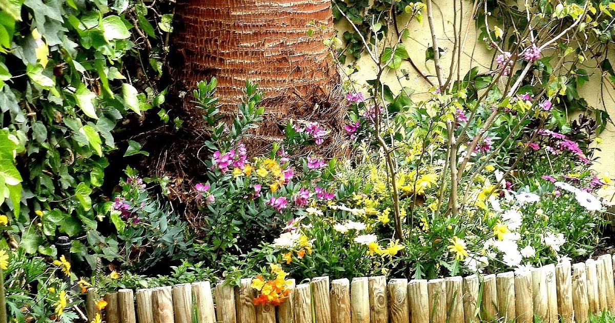 jardinbio: Jardin pequeño (Decoracion terminada III)