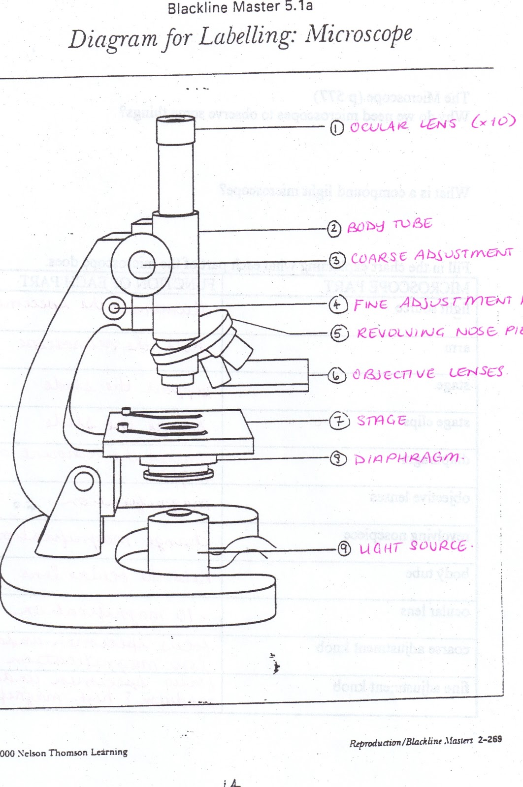 Compound Microscope Parts And Functions Worksheet ABITLIKETHIS education, grade worksheets, learning, worksheets for teachers, and math worksheets Compound Microscope Parts And Functions Worksheet 1600 x 1062 Compound Microscope Parts And Functions Worksheet ABITLIKETHIS education, grade worksheets, learning, worksheets for teachers, and math worksheets Compound Microscope Parts And Functions Worksheet 1600 x 1062
