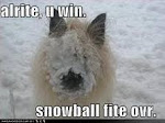 Snow ball fight!!!!!!!!