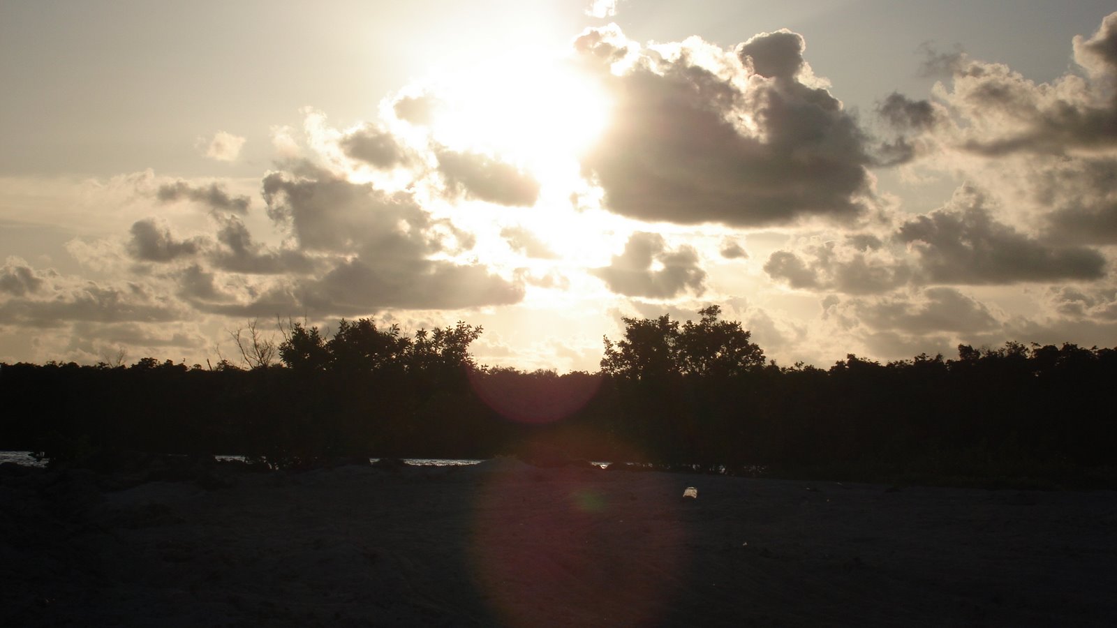[DSC05923.JPG]
