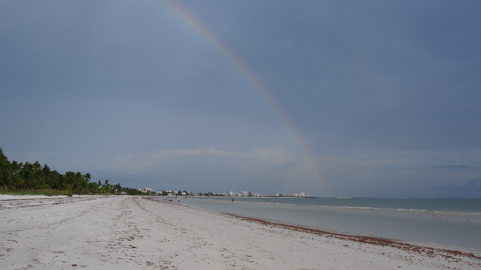 [DSC06097.JPG]