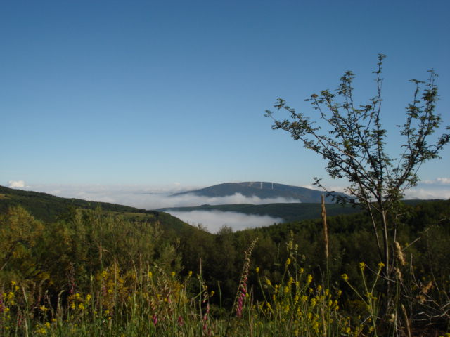 [land+view.JPG]