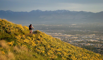 Image of mountain biker on trail near Salt Lake City