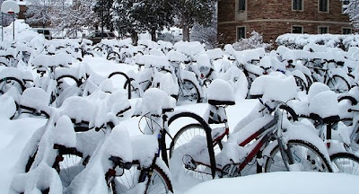 Image of bicycles buried in snow in Boulder, Colorado