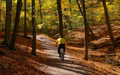 Image of fall bicyclist
