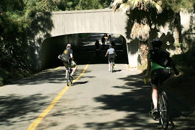 Image of bicycle path in Davis, California