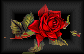 [blog_rose_1.gif]